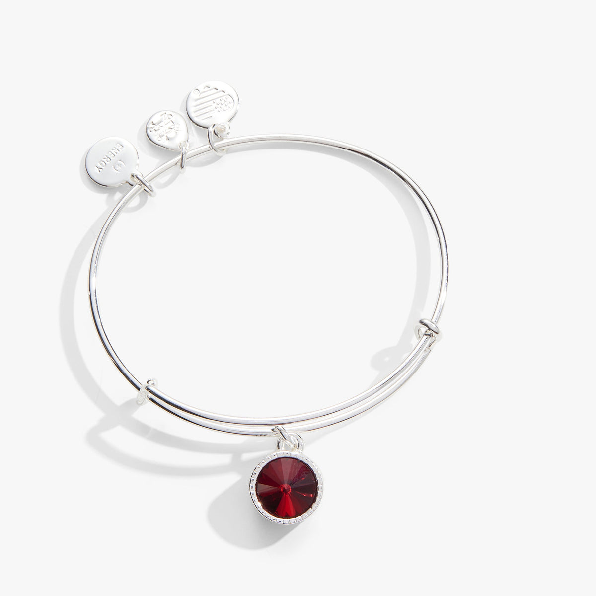 Scarlet January Birthstone Charm Bangle Silver | Alex and Ani