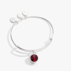 Scarlet January Birthstone Charm Bangle Silver | Alex and Ani