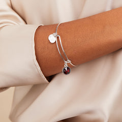 Scarlet January Birthstone Charm Bangle Silver | Alex and Ani