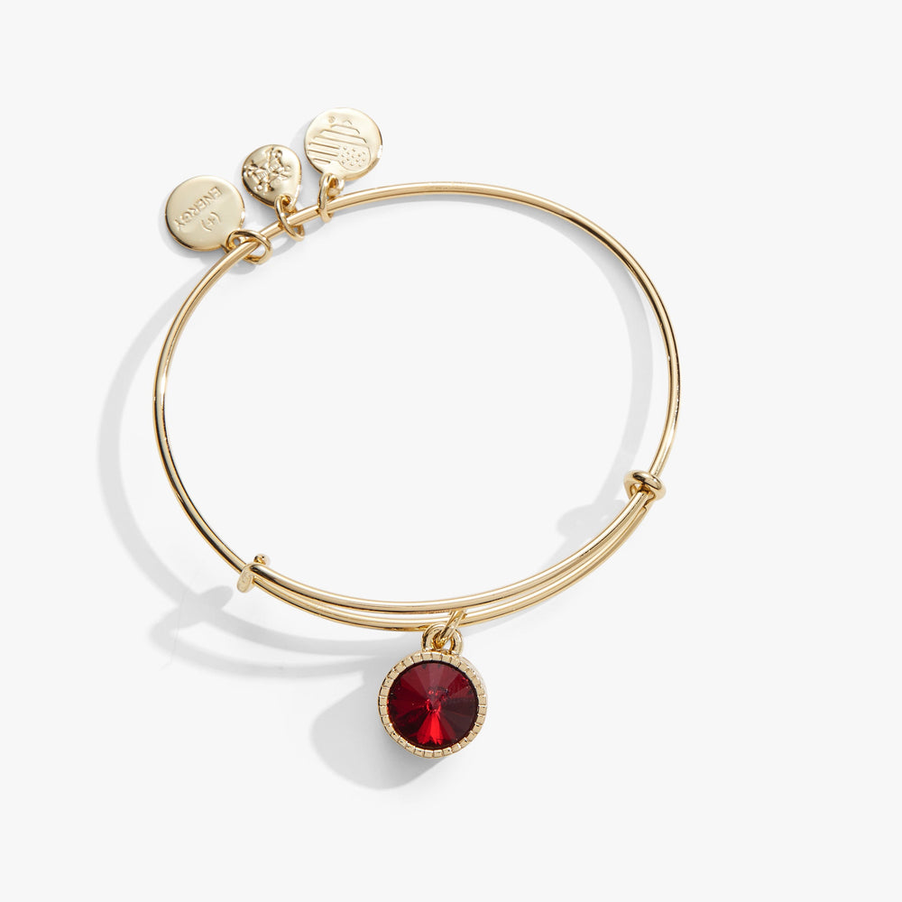Scarlet January Birthstone Charm Bangle Silver | Alex and Ani