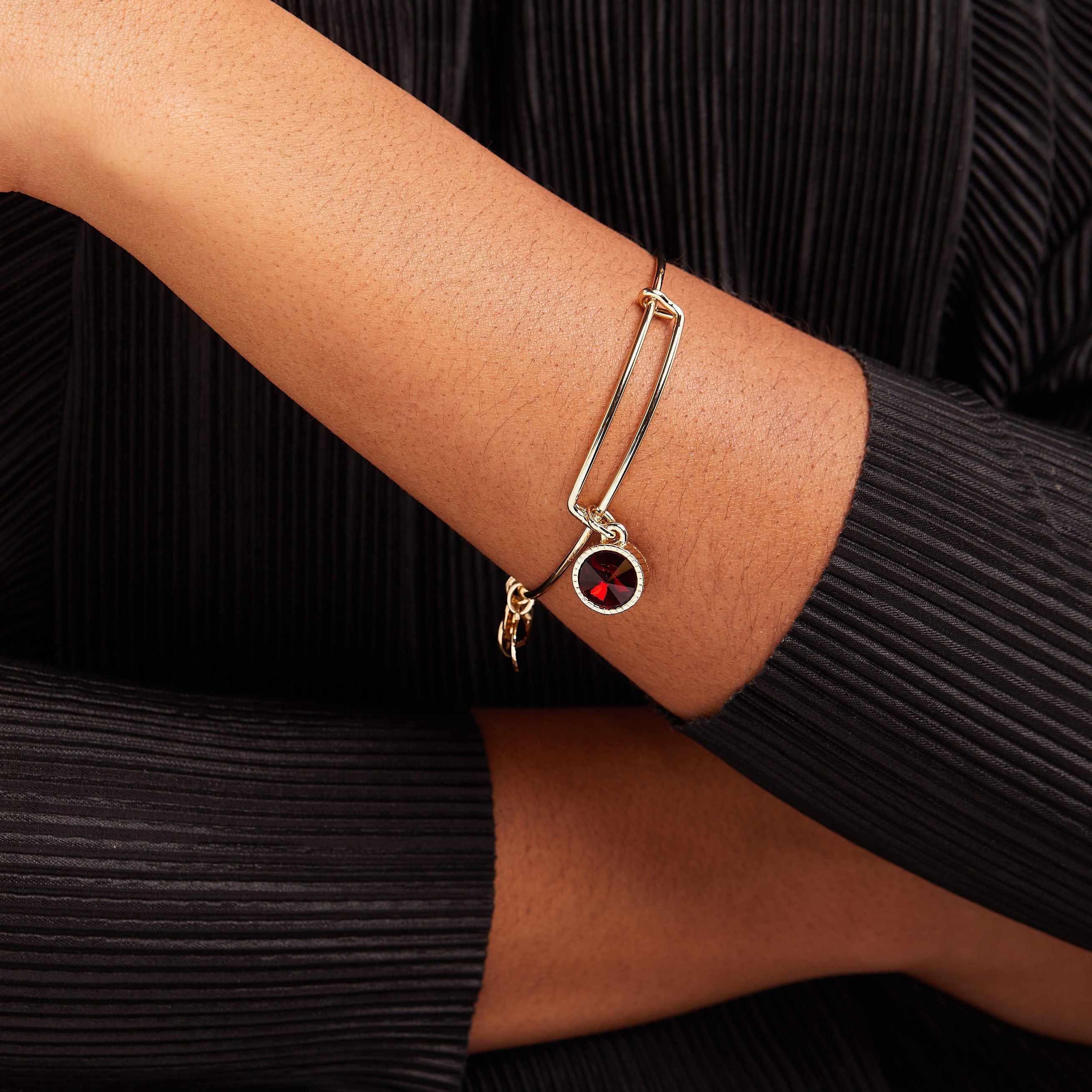 Scarlet January Birthstone Charm Bangle Silver | Alex and Ani