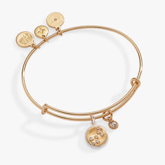 Scorpio Zodiac Charm Bangle Two Tone | Alex and Ani