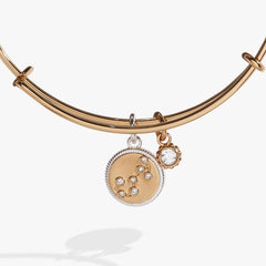 Scorpio Zodiac Charm Bangle Two Tone | Alex and Ani