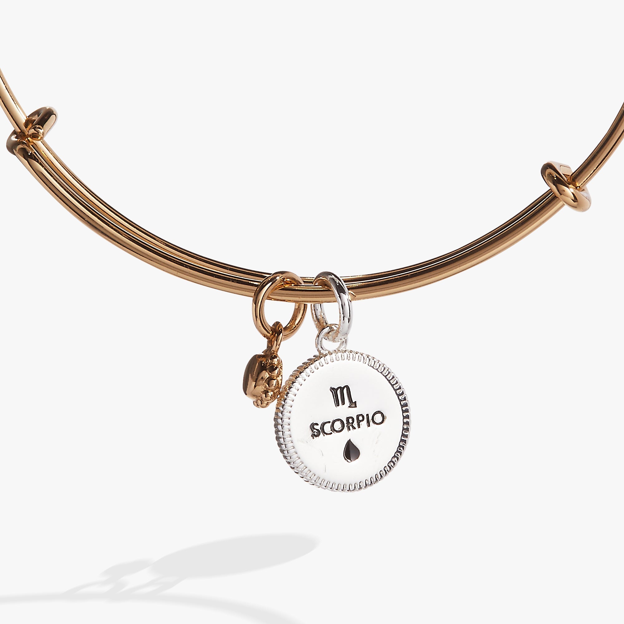 Scorpio Zodiac Charm Bangle Two Tone | Alex and Ani