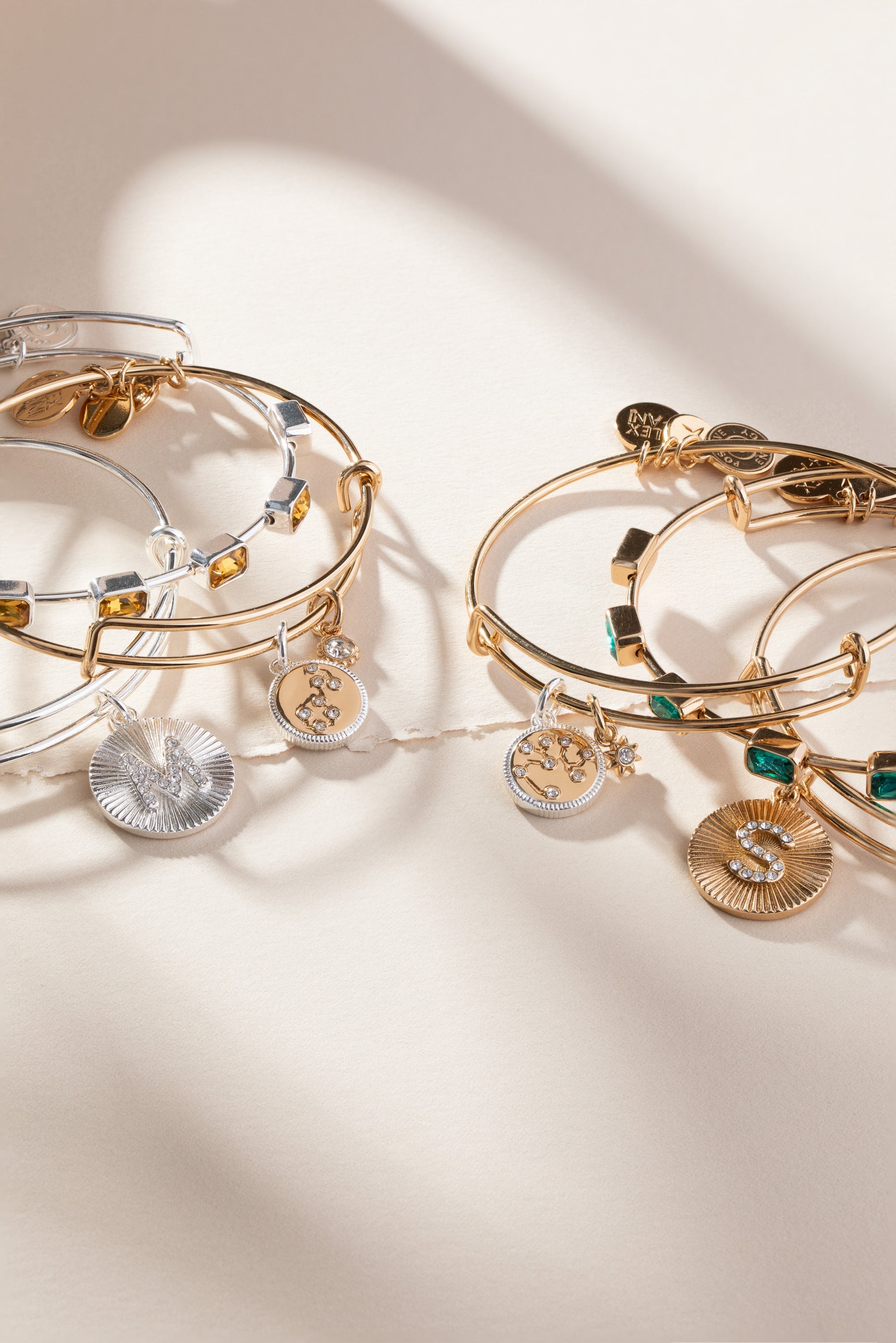 Scorpio Zodiac Charm Bangle Two Tone | Alex and Ani
