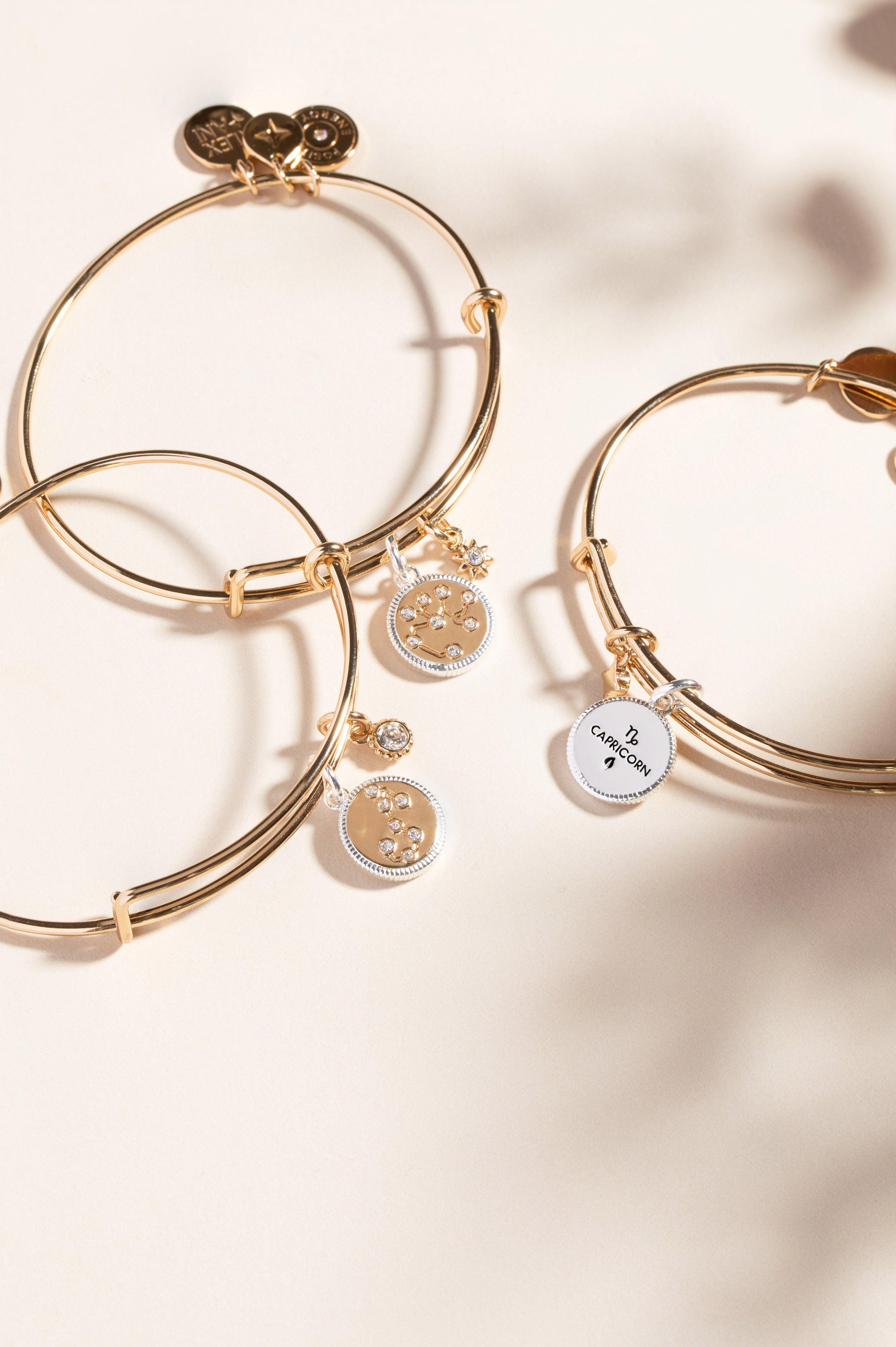 Scorpio Zodiac Charm Bangle Two Tone | Alex and Ani