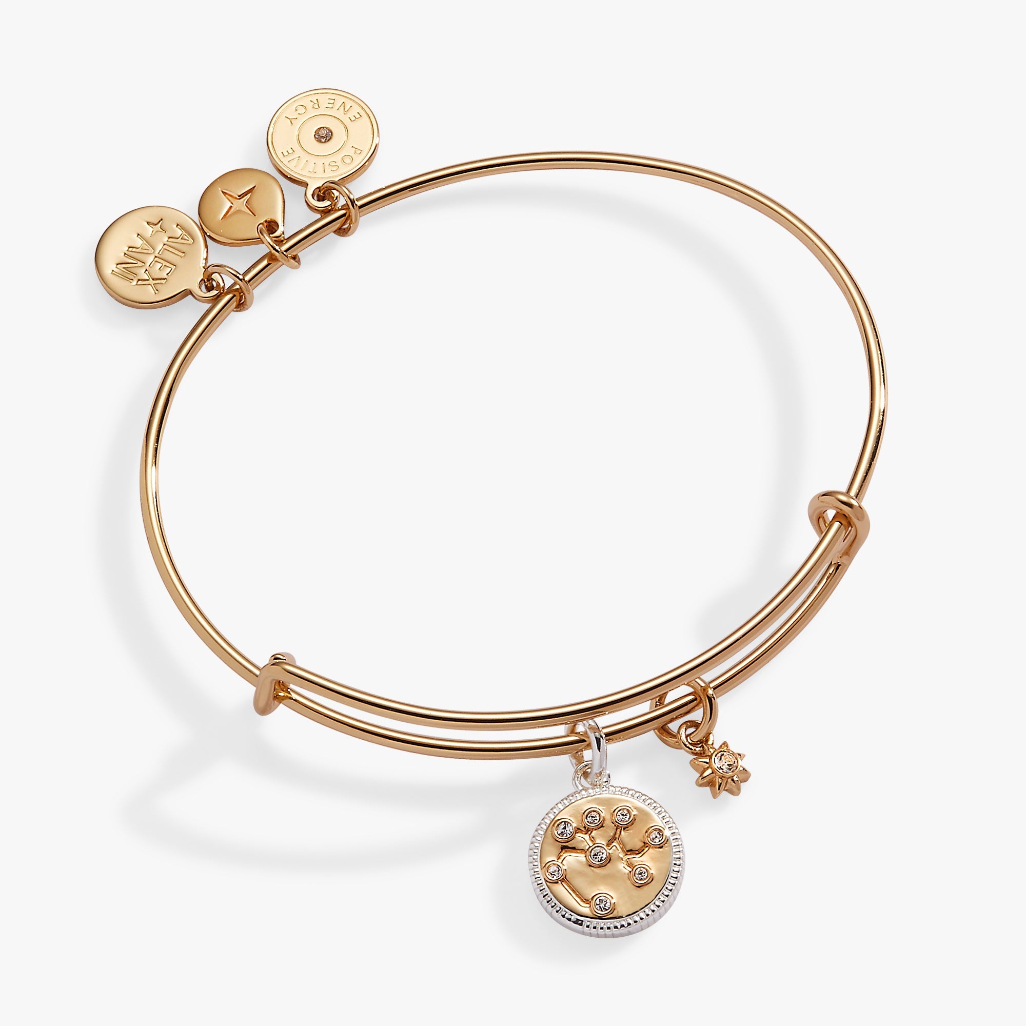 Sagittarius Zodiac Charm Bangle Two Tone | Alex and Ani