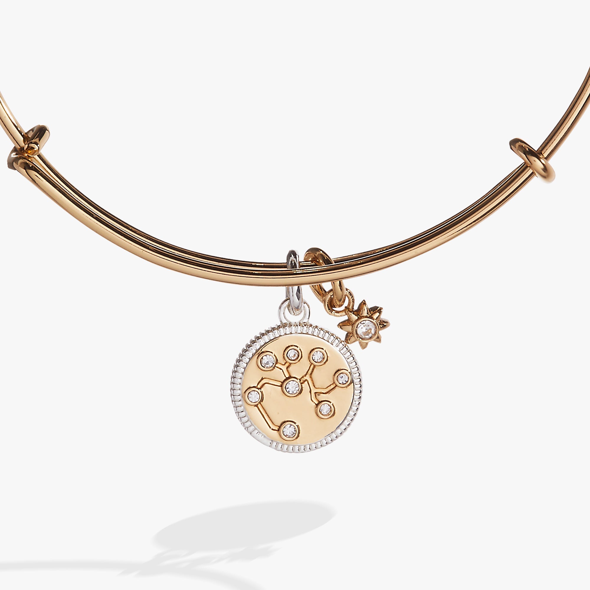 Sagittarius Zodiac Charm Bangle Two Tone | Alex and Ani