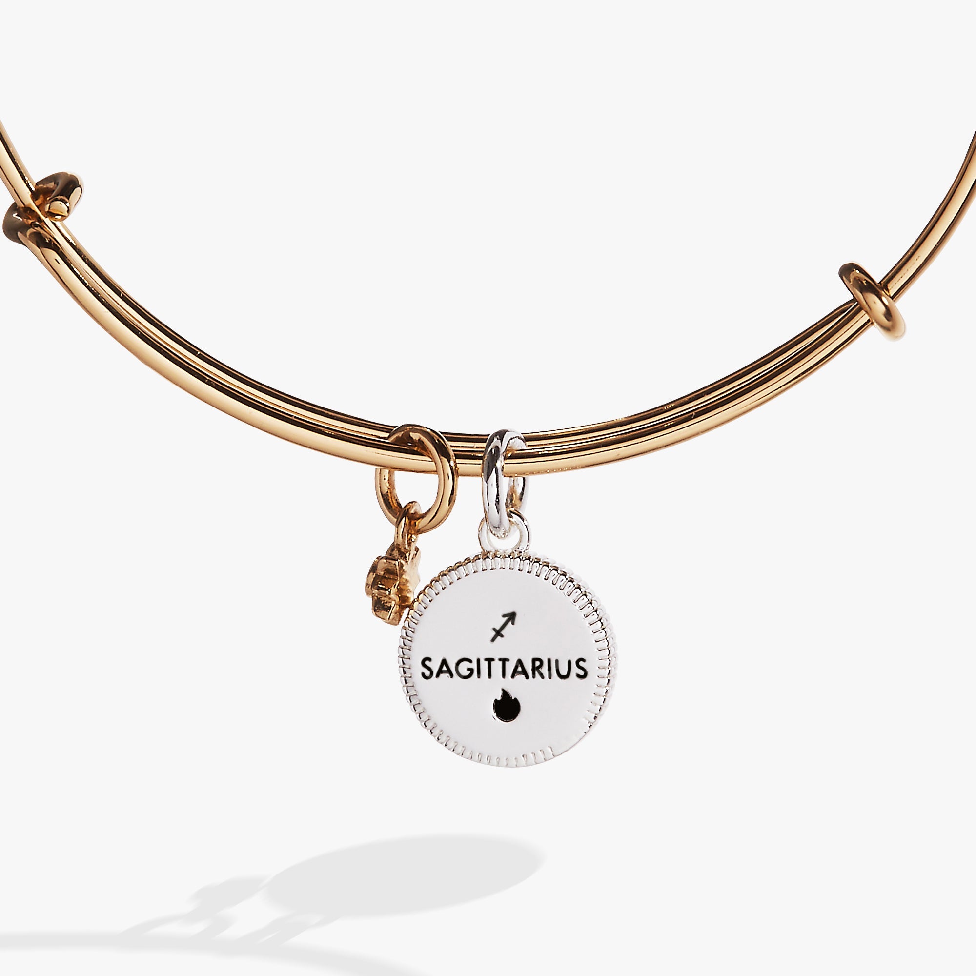 Sagittarius Zodiac Charm Bangle Two Tone | Alex and Ani