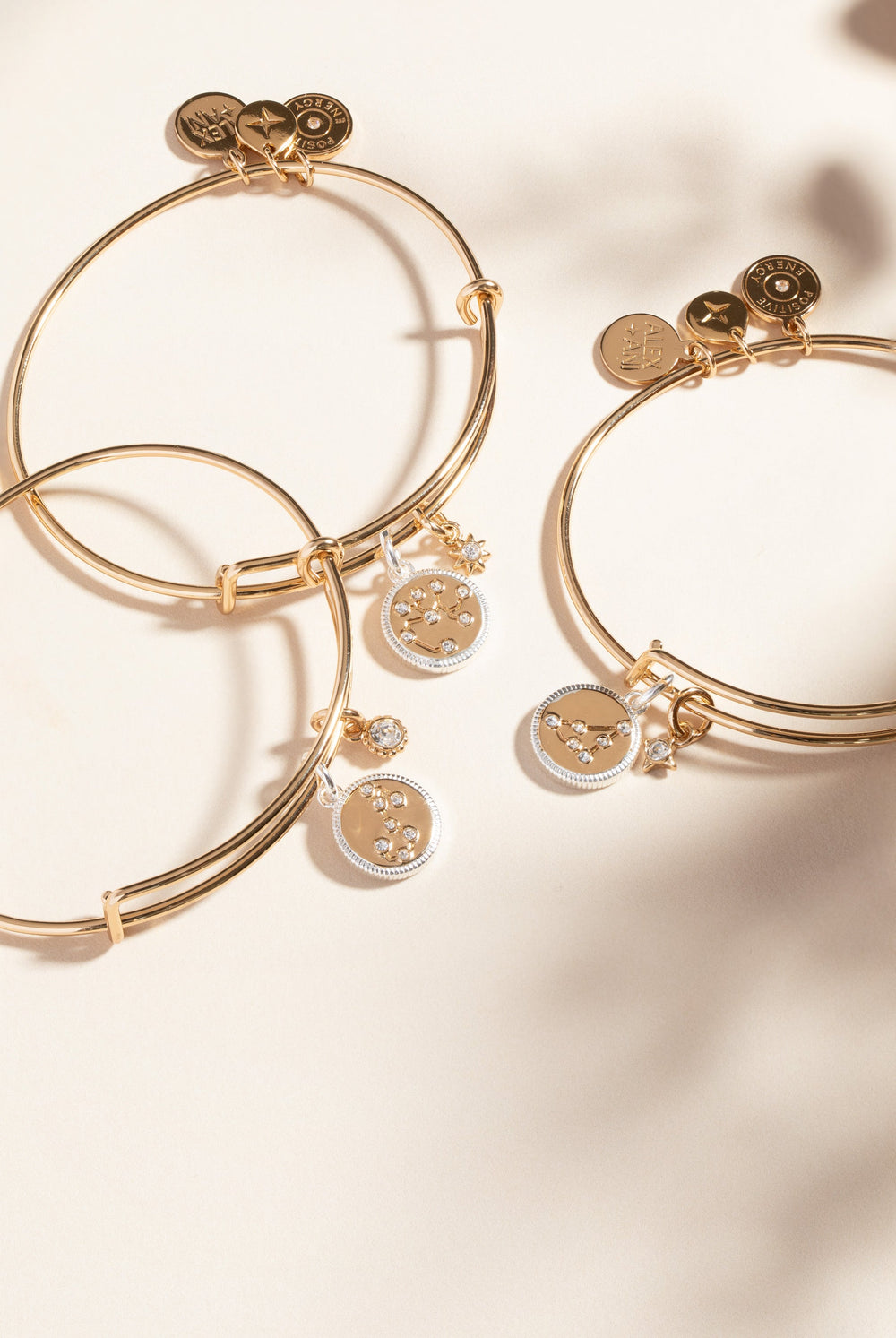 Sagittarius Zodiac Charm Bangle Two Tone | Alex and Ani