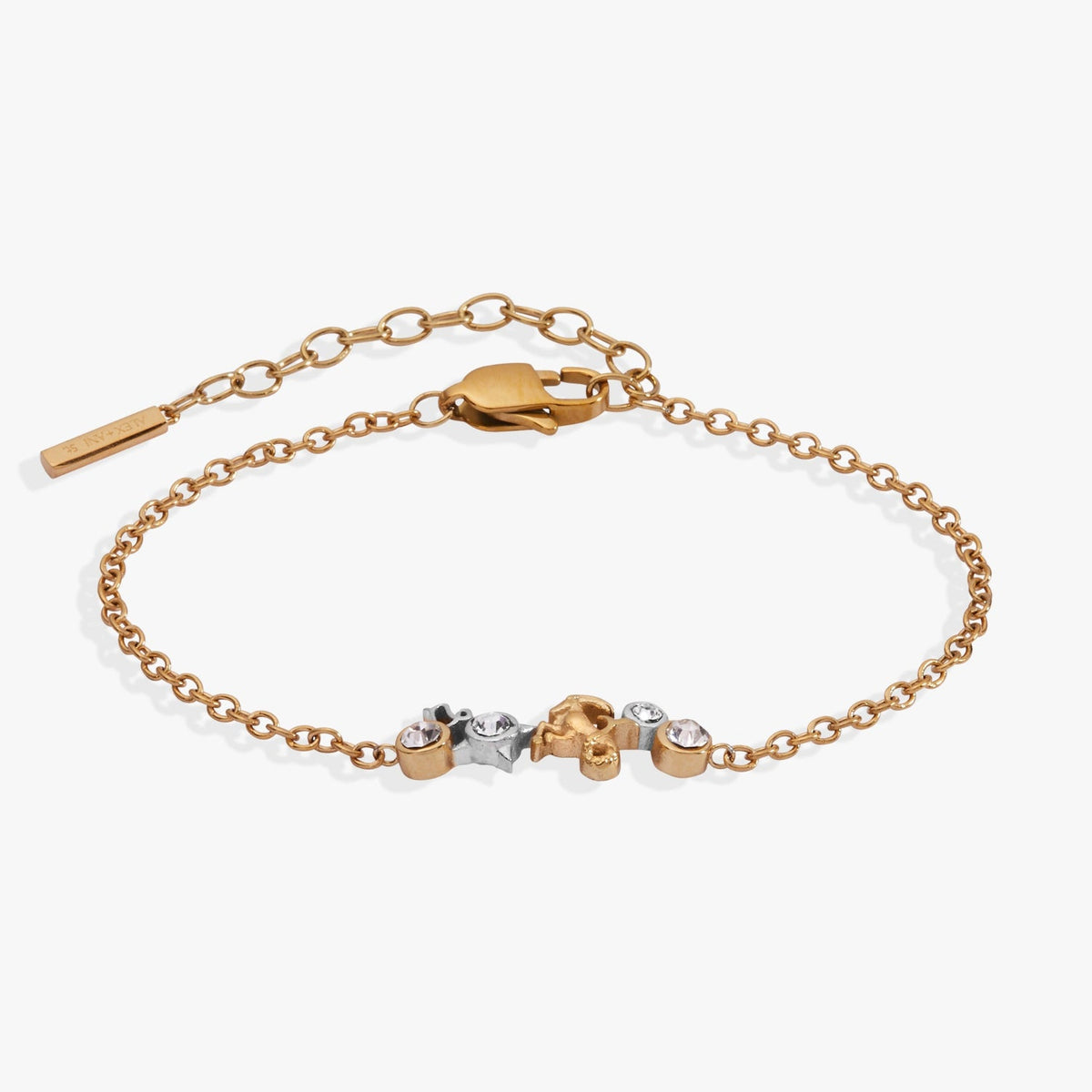Capricorn Symbol Inline Bracelet Two Tone - Stainless Steel | Alex and Ani