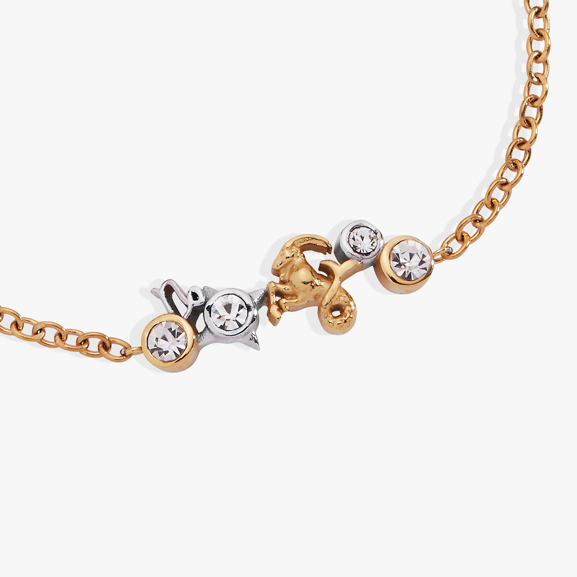 Capricorn Symbol Inline Bracelet Two Tone - Stainless Steel | Alex and Ani