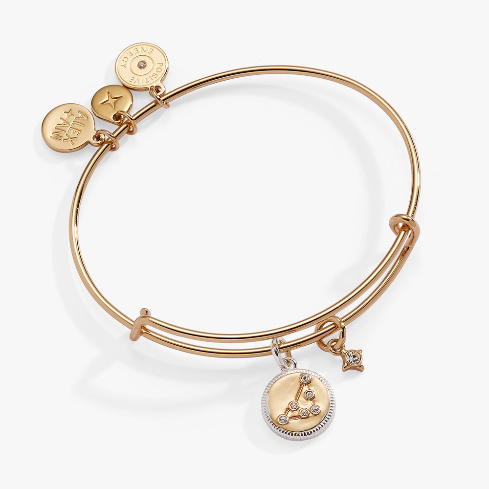 Capricorn Zodiac Charm Bangle Two Tone | Alex and Ani