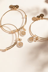 Capricorn Zodiac Charm Bangle Two Tone | Alex and Ani