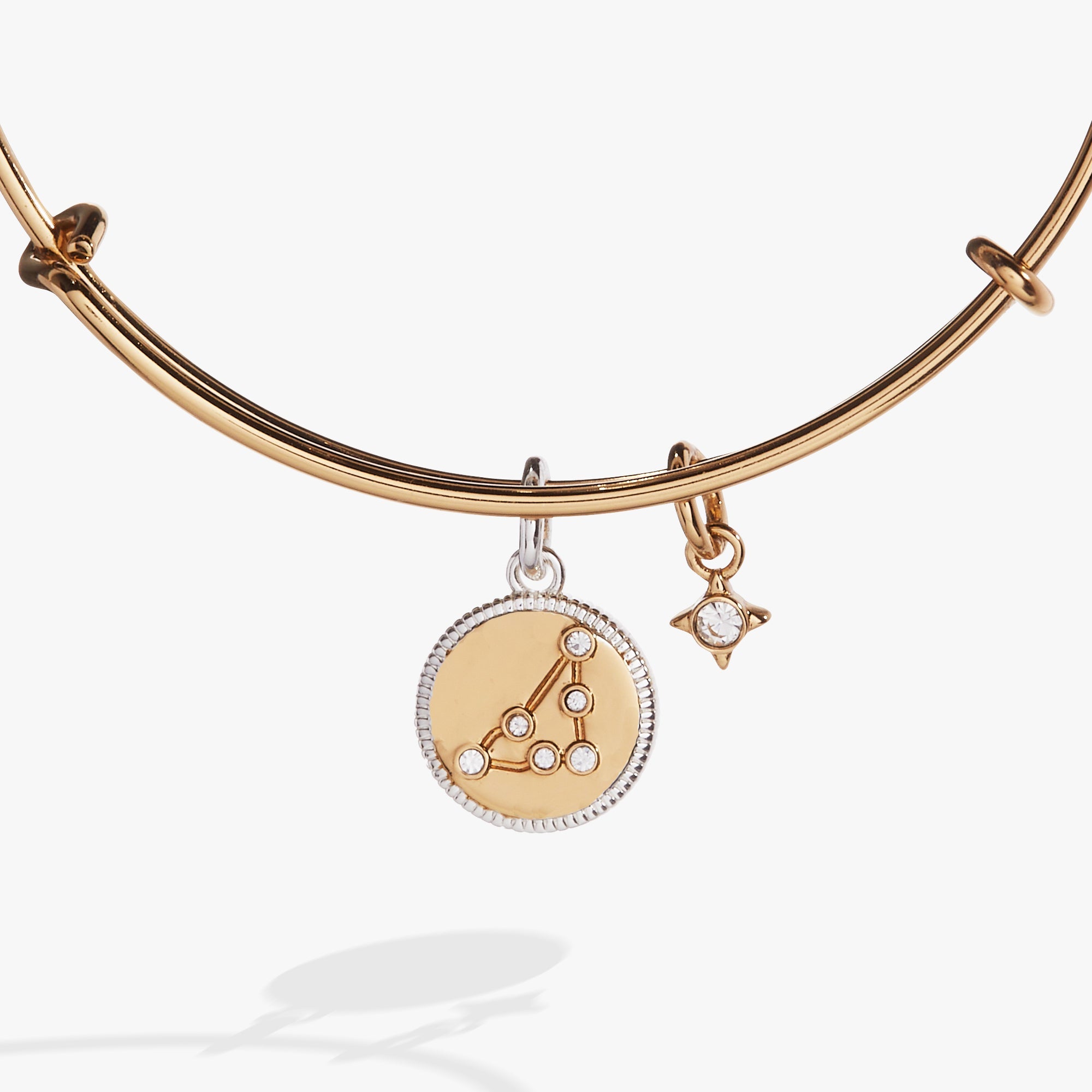 Capricorn Zodiac Charm Bangle Two Tone | Alex and Ani