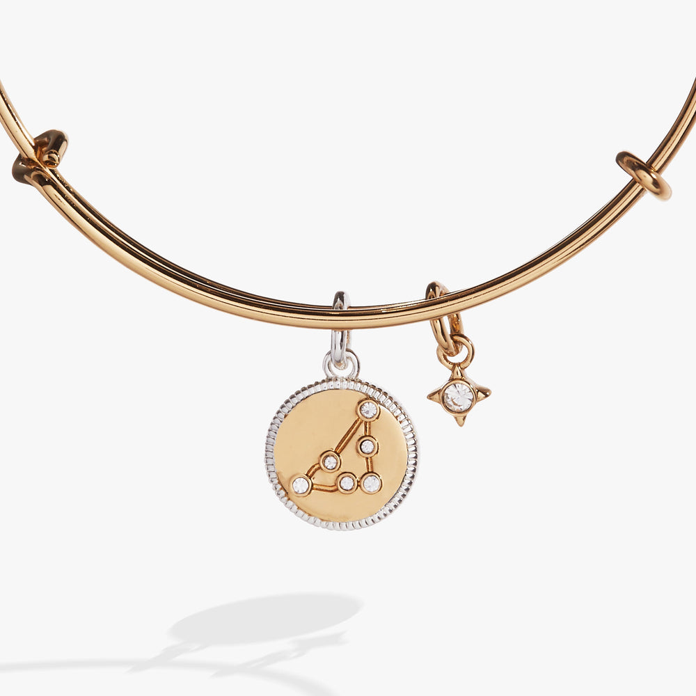 Capricorn Zodiac Charm Bangle Two Tone | Alex and Ani