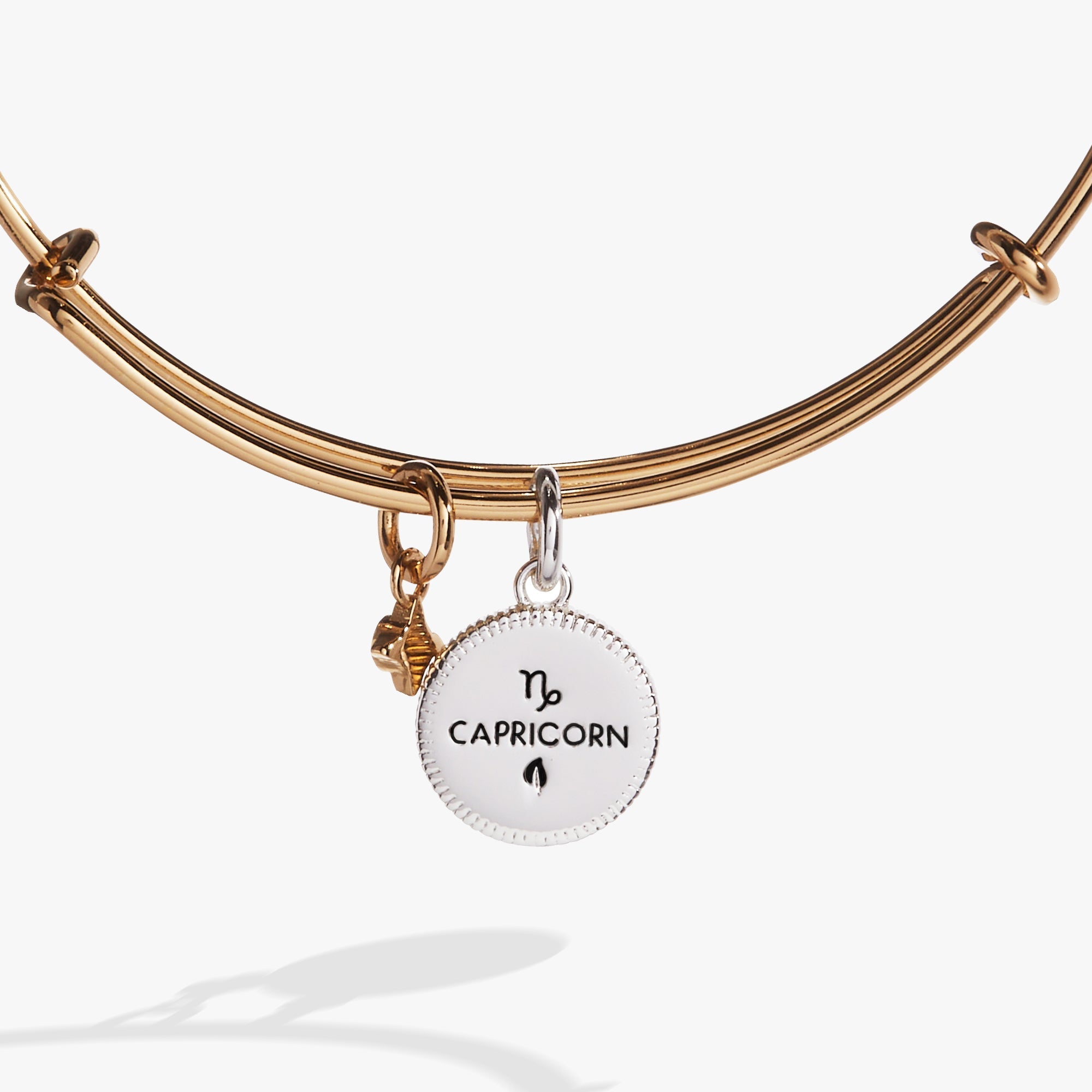 Capricorn Zodiac Charm Bangle Two Tone | Alex and Ani