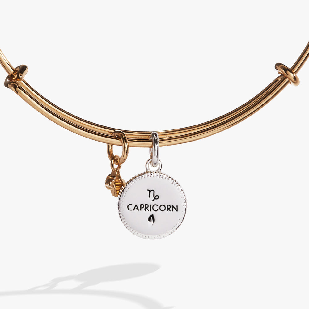 Capricorn Zodiac Charm Bangle Two Tone | Alex and Ani