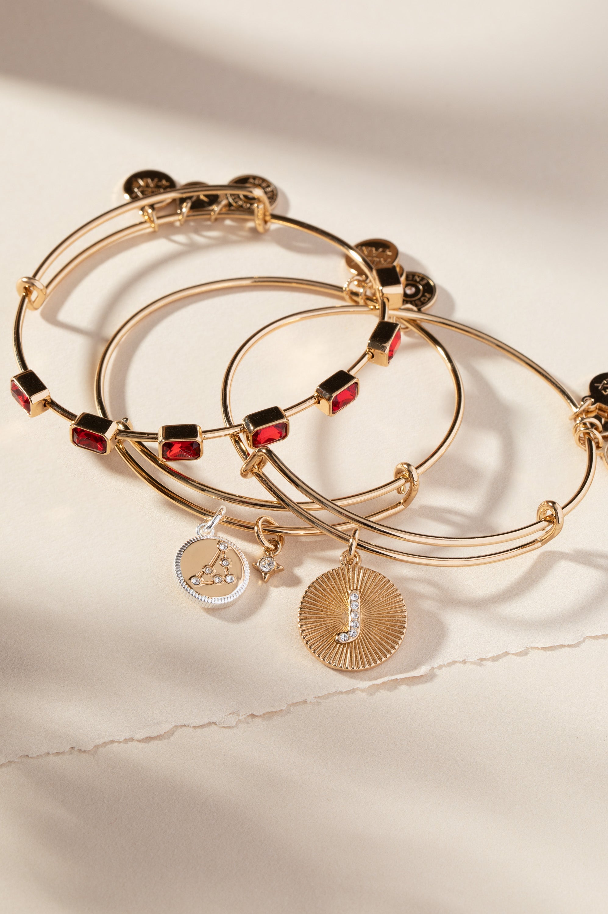 Capricorn Zodiac Charm Bangle Two Tone | Alex and Ani