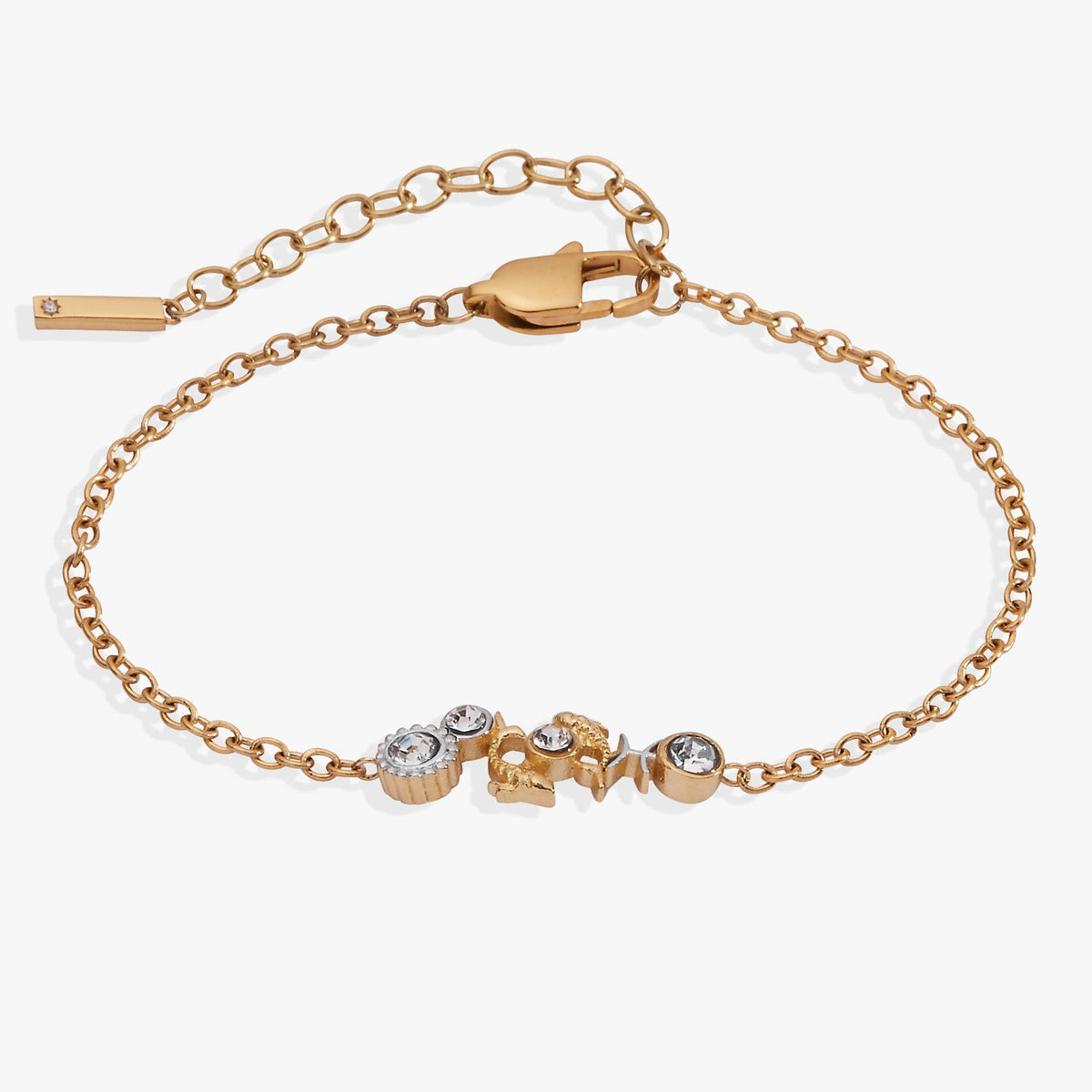Pisces Symbol Inline Bracelet Two Tone - Stainless Steel | Alex and Ani