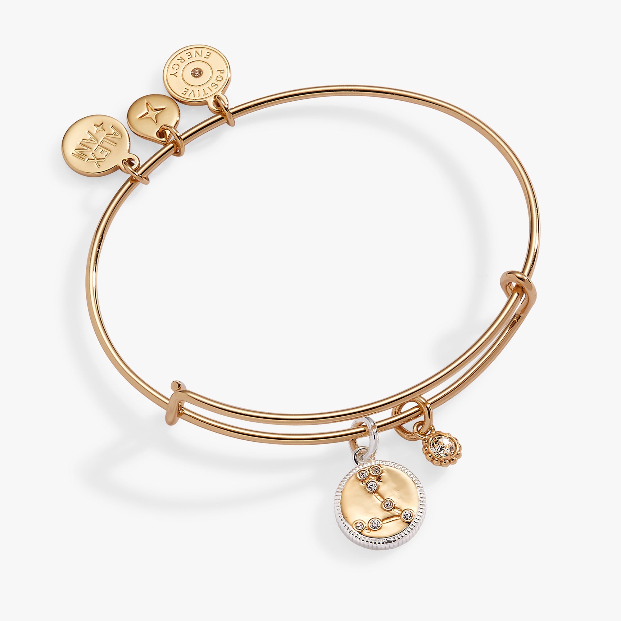 Pisces Zodiac Charm Bangle Two Tone | Alex and Ani