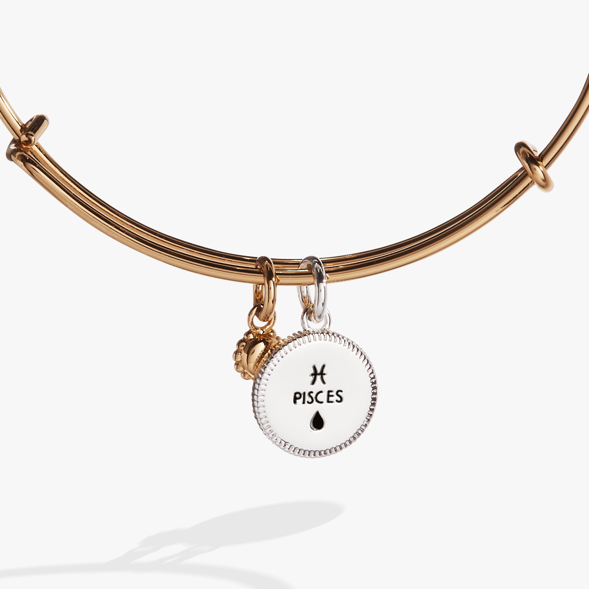Pisces Zodiac Charm Bangle Two Tone | Alex and Ani