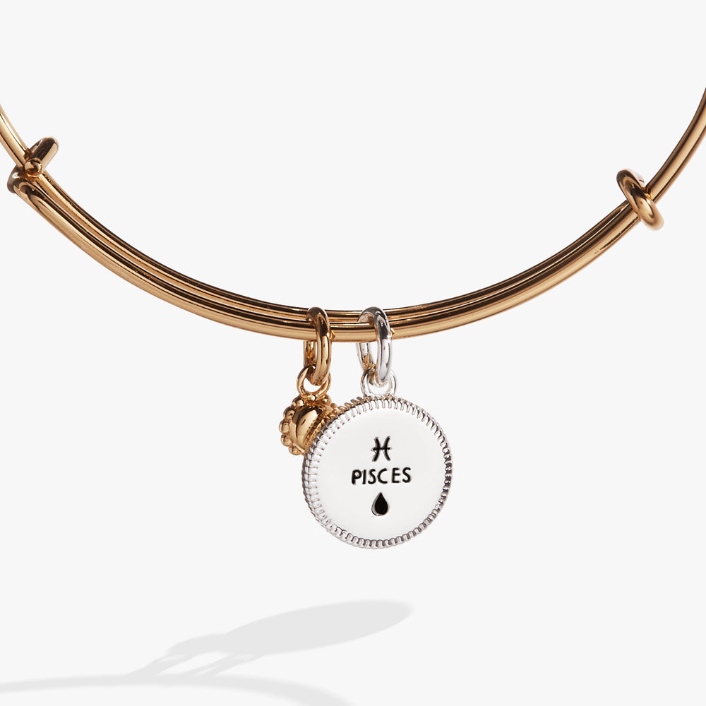 Pisces Zodiac Charm Bangle Two Tone | Alex and Ani