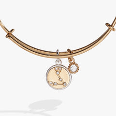 Pisces Zodiac Charm Bangle Two Tone | Alex and Ani