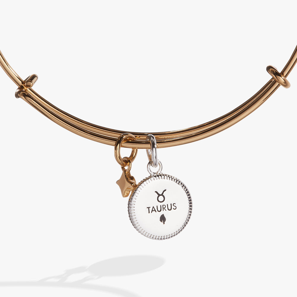 Taurus Zodiac Charm Bangle Two Tone | Alex and Ani