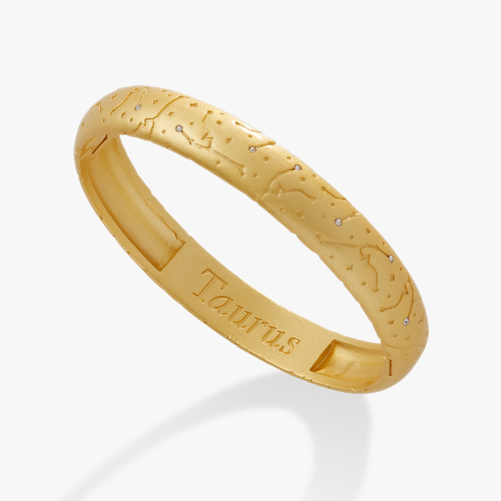 Taurus Zodiac Hinge Bangle Satin Silver | Alex and Ani