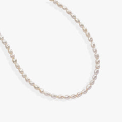 Freshwater Pearl Necklace Stainless Steel Gold | Alex and Ani