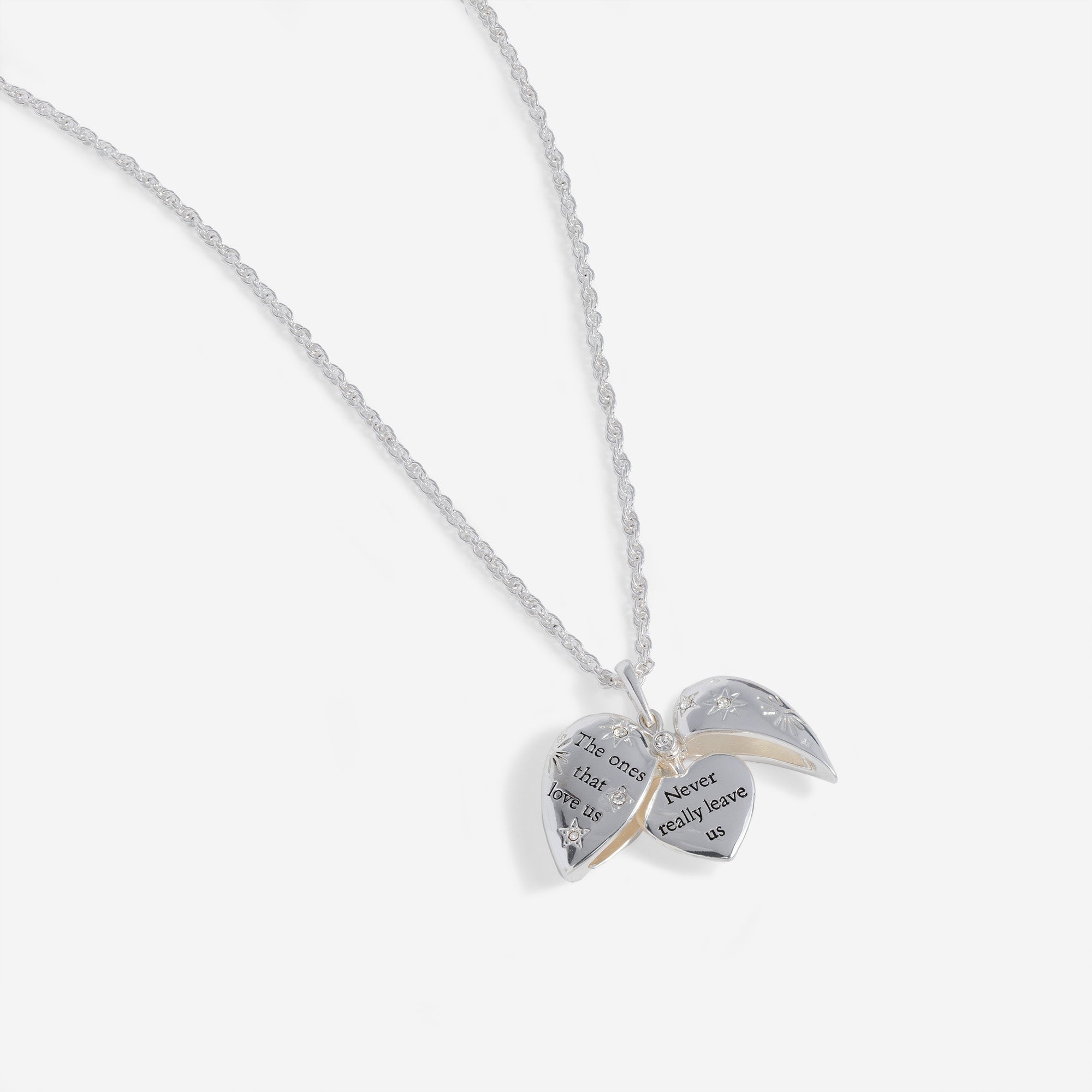 Harry Potter “The Ones That Love Us” Locket Necklace Silver | Alex and Ani