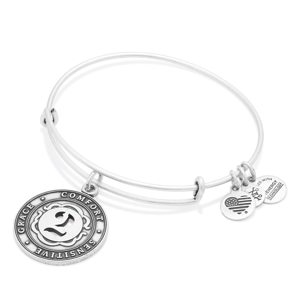 Number 2 Charm Bangle Bracelet Rafaelian Gold | Alex and Ani