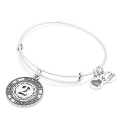 Number 2 Charm Bangle Bracelet Rafaelian Gold | Alex and Ani