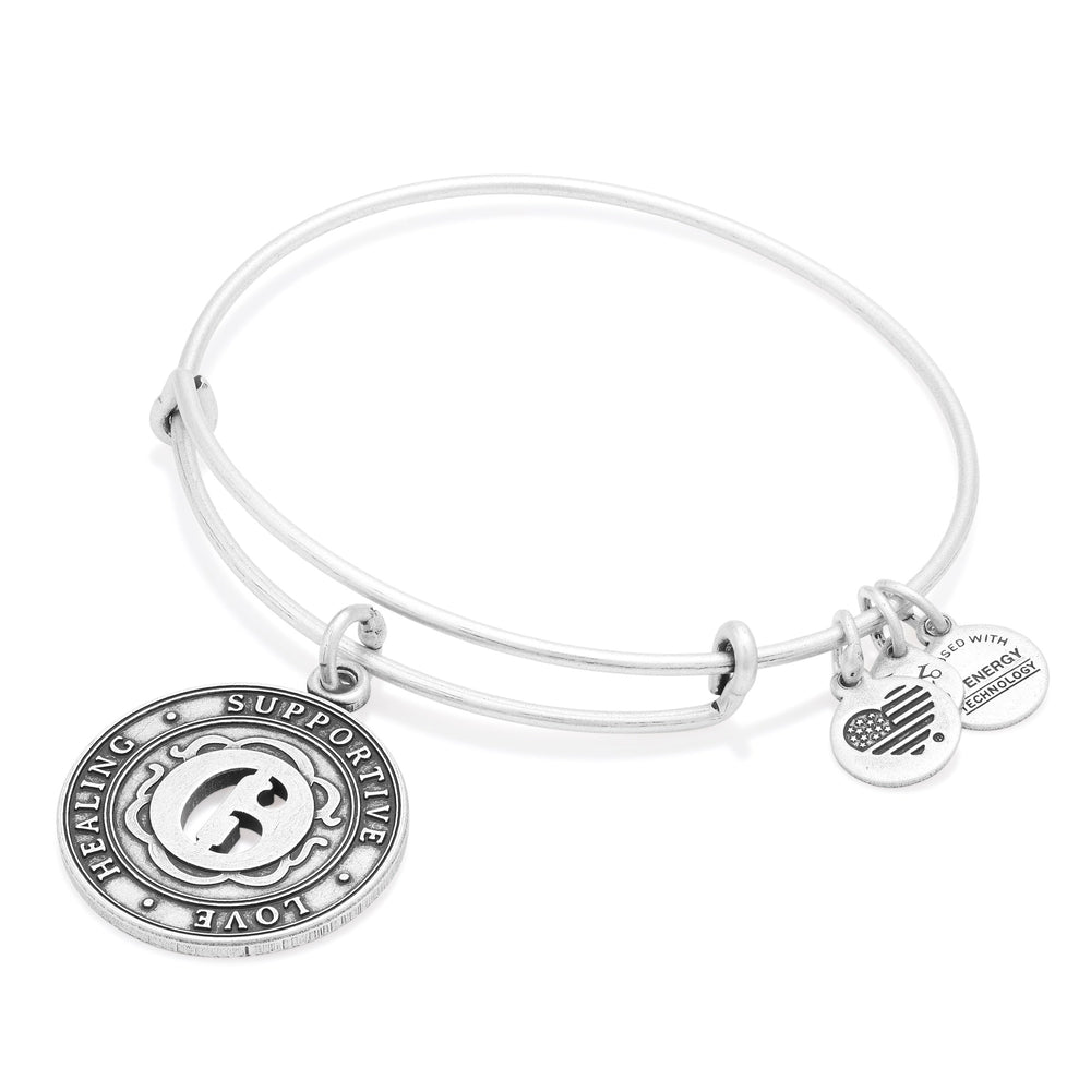 Number 6 Charm Bangle Bracelet Rafaelian Gold | Alex and Ani