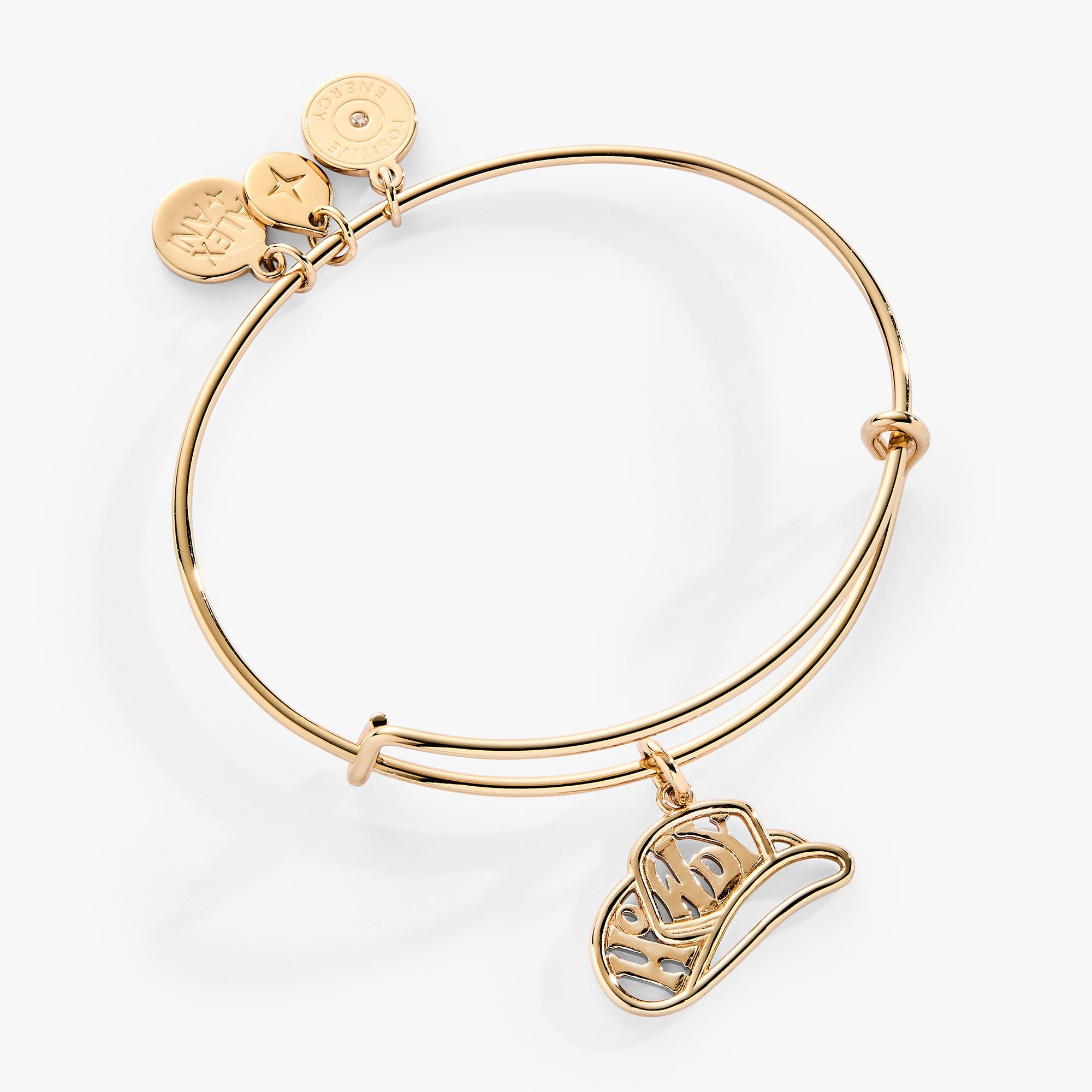 Howdy Charm Bangle Gold | Alex and Ani