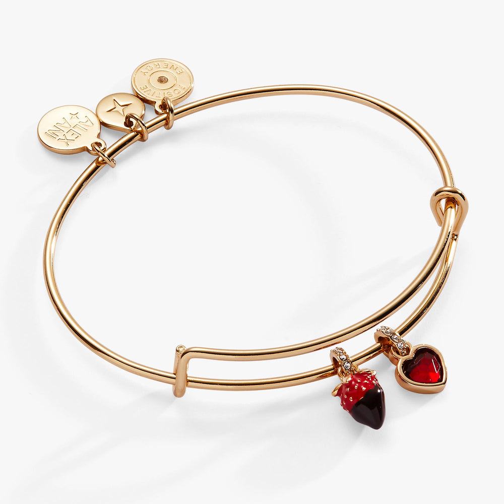 Chocolate-Covered Strawberry Duo Charm Bangle Gold | Alex and Ani