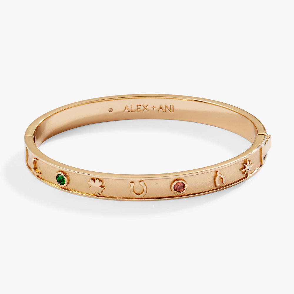 Lucky Hinge Bangle Gold | Alex and Ani