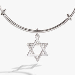 Holiday Star of David Bangle Shiny Silver | Alex and Ani