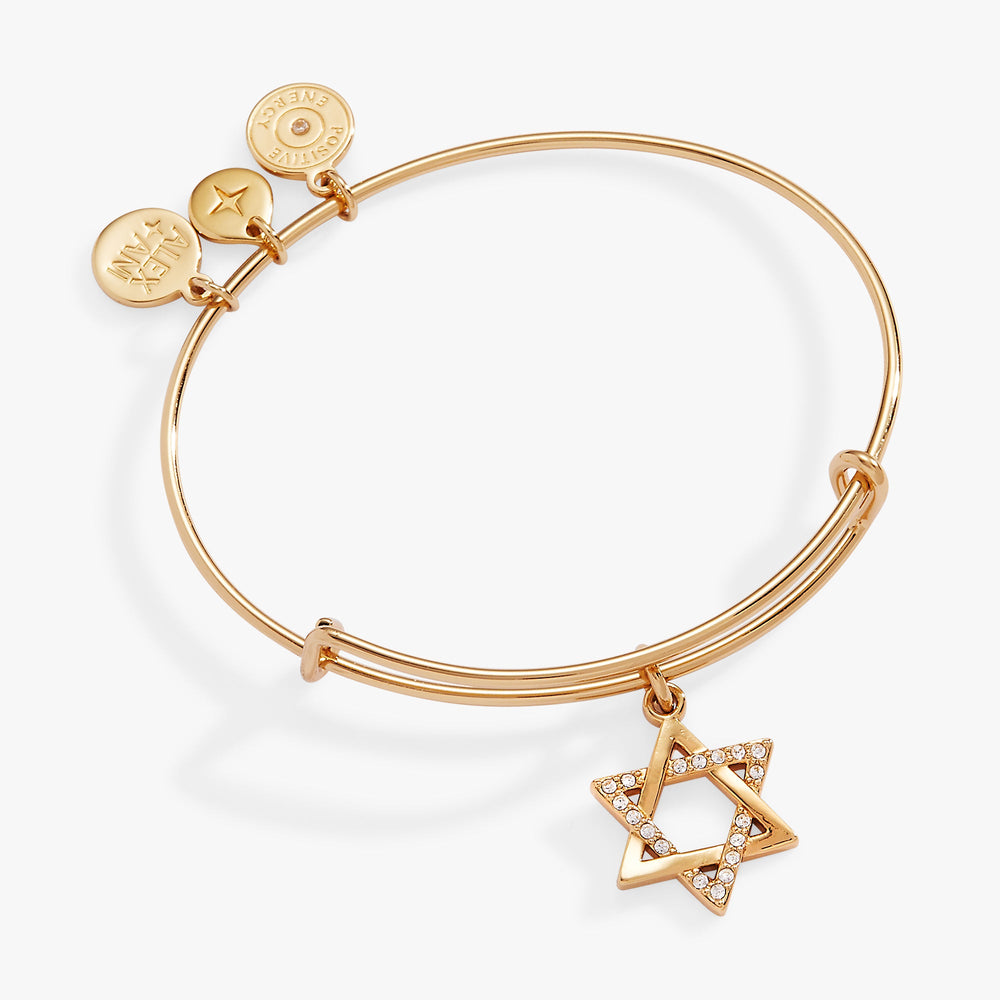 Holiday Star of David Bangle Shiny Silver | Alex and Ani