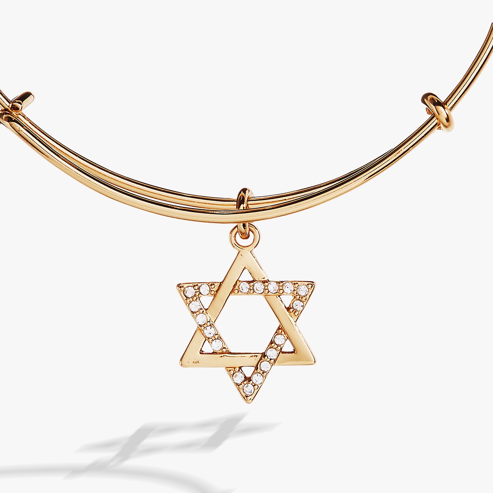 Holiday Star of David Bangle Shiny Silver | Alex and Ani