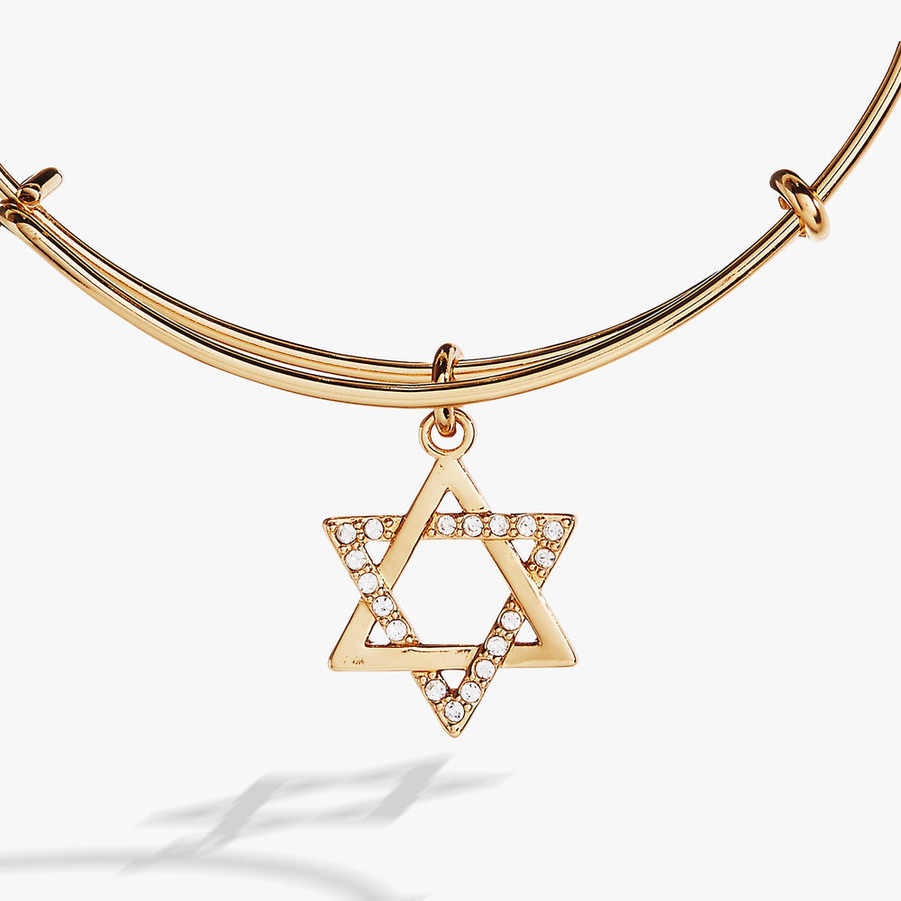 Holiday Star of David Bangle Shiny Silver | Alex and Ani
