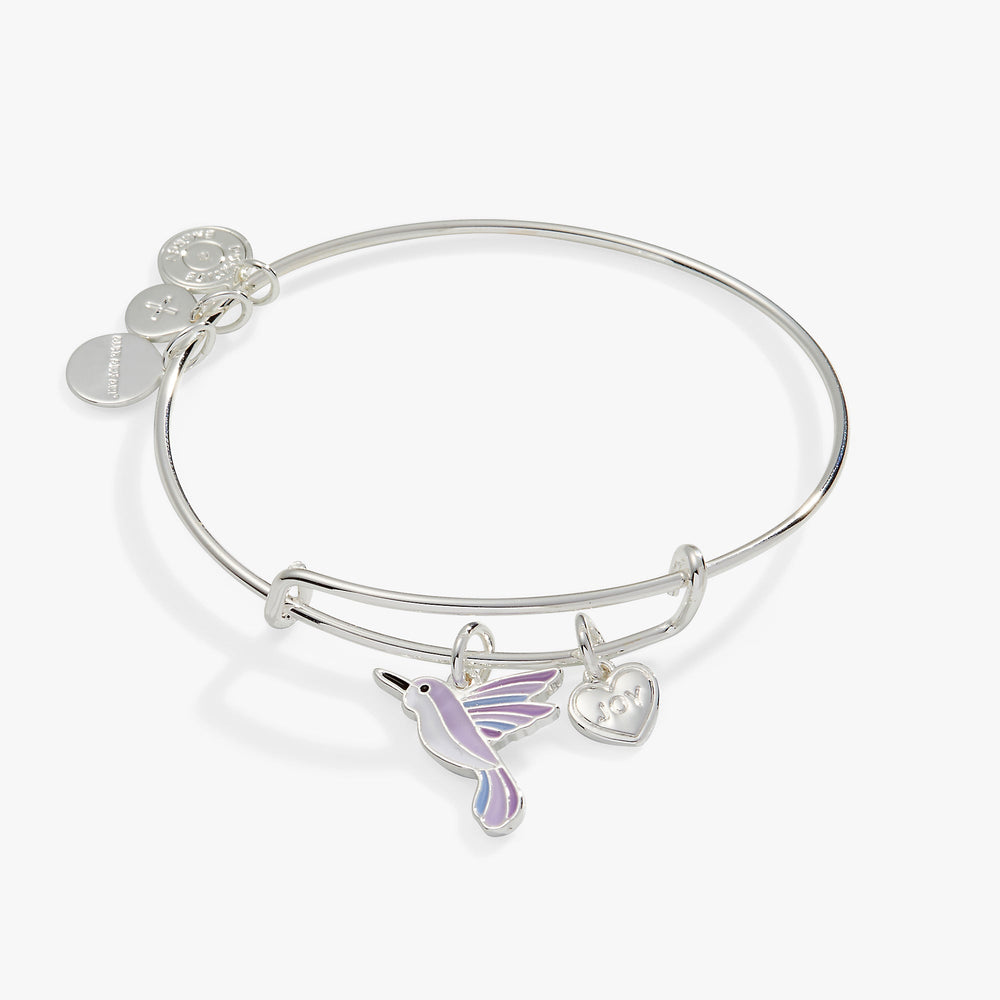 Joy' Hummingbird Duo Charm Bangle Bracelet Silver | Alex and Ani