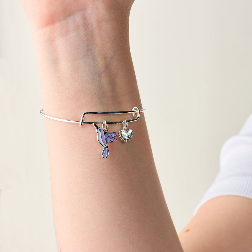 Joy' Hummingbird Duo Charm Bangle Bracelet Silver | Alex and Ani