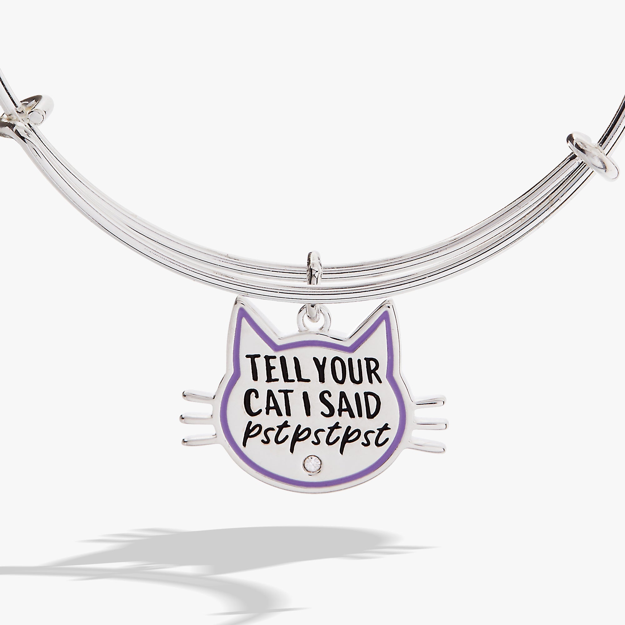 Tell Your Cat I Said Pst Pst Pst Bangle Silver | Alex and Ani