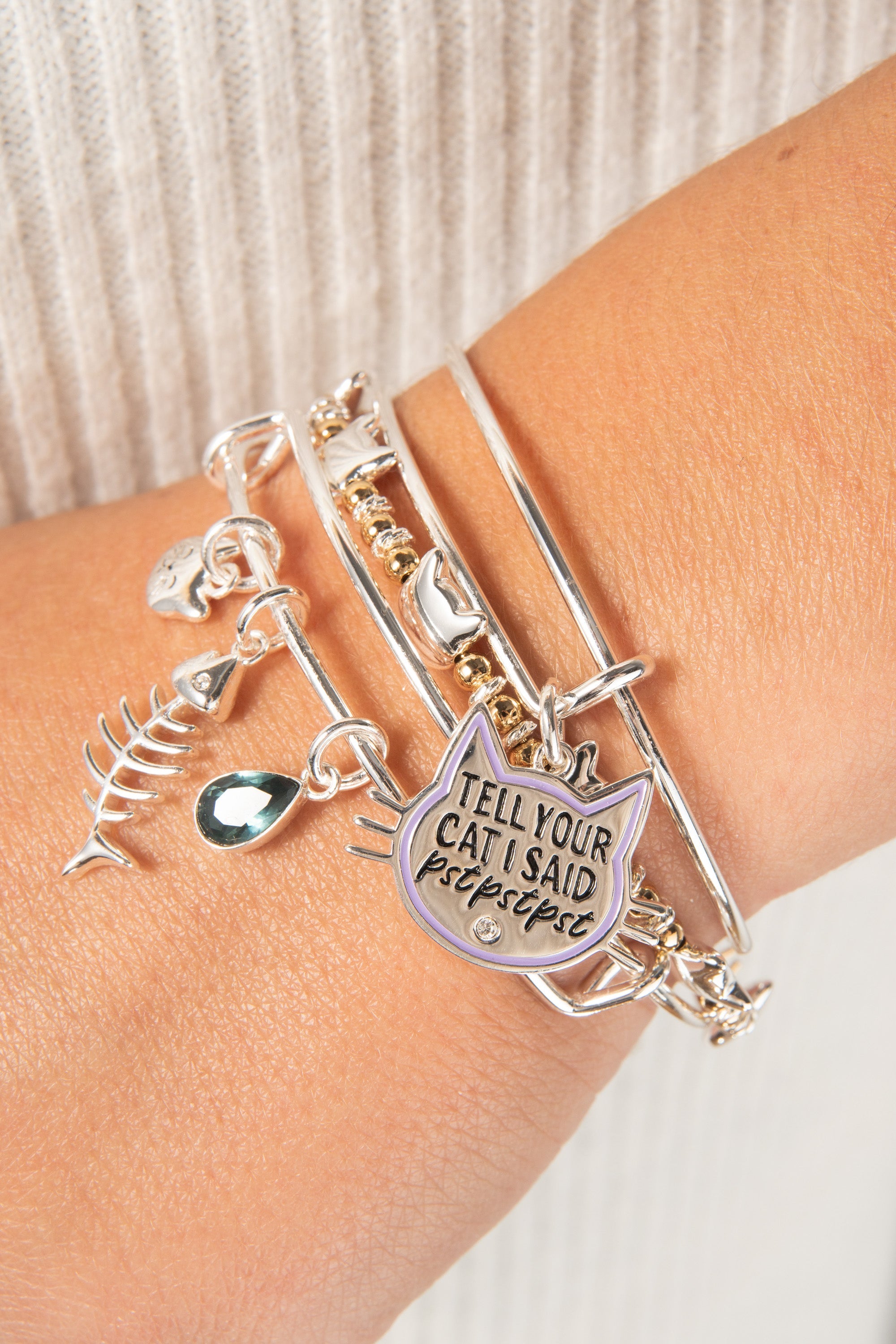 Tell Your Cat I Said Pst Pst Pst Bangle Silver | Alex and Ani