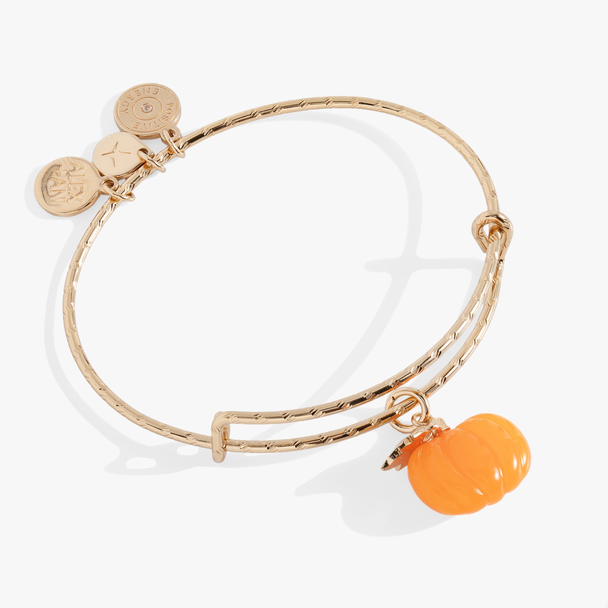 Pumpkin Textured Bangle Gold | Alex and Ani