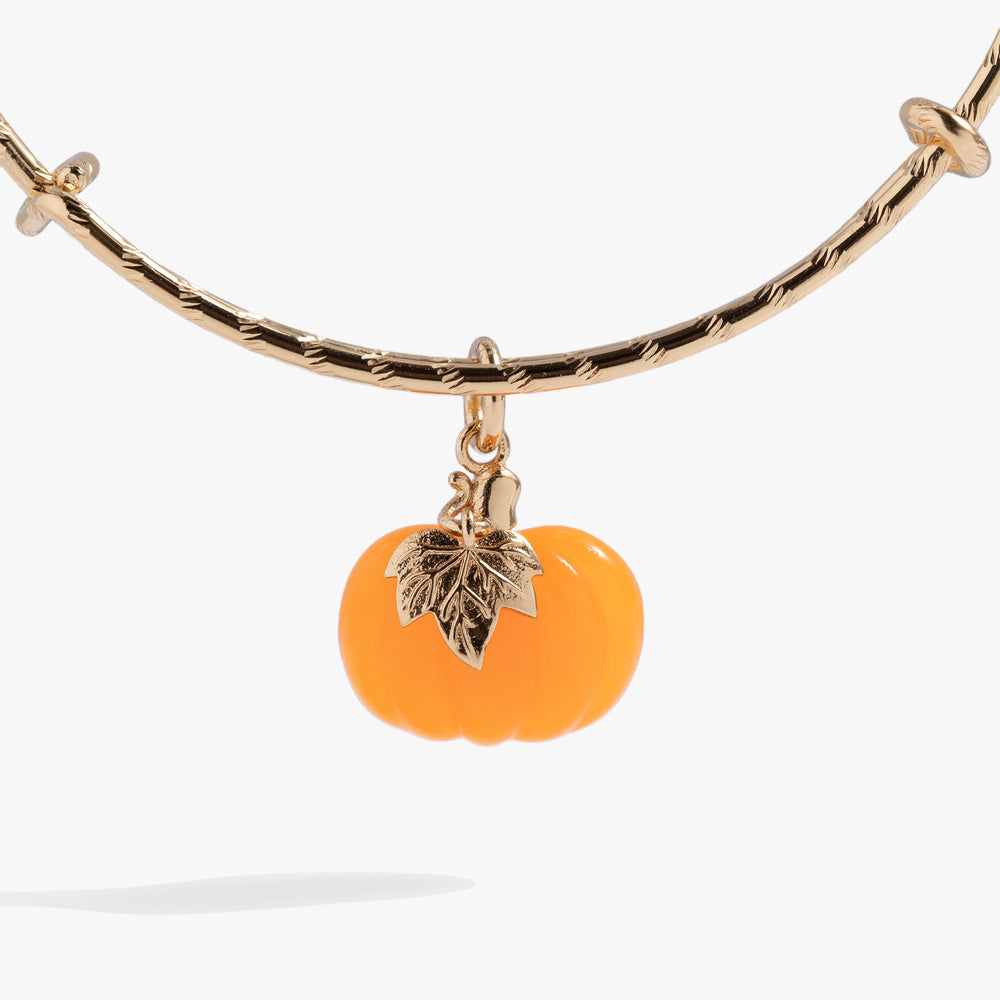 Pumpkin Textured Bangle Gold | Alex and Ani