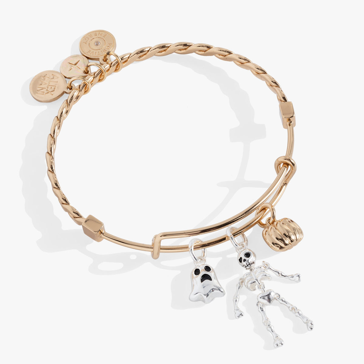 Halloween Trio- Ghost, Skeleton, Pumpkin Charm Bangle Two Tone | Alex and Ani