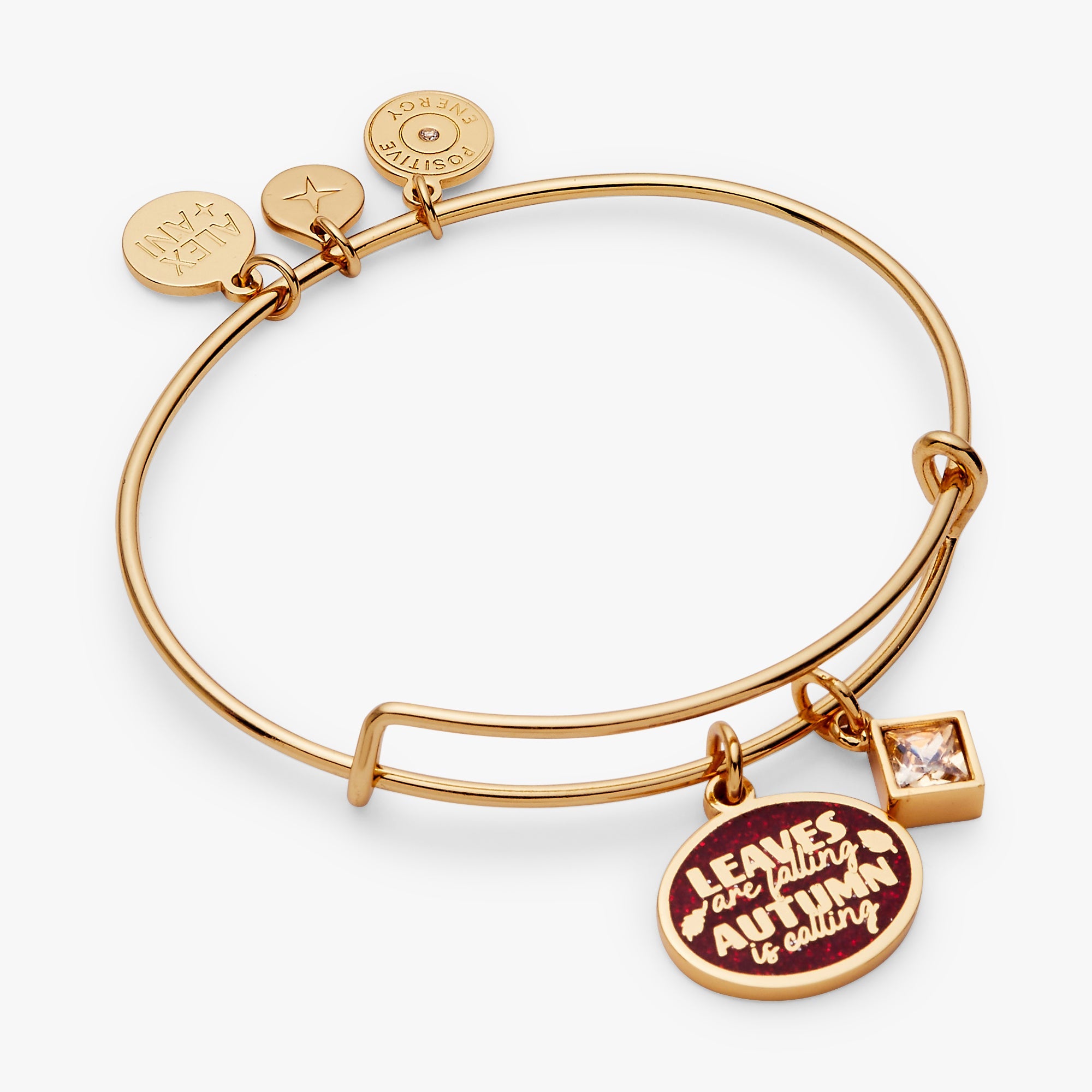 Autumn is calling leaves are falling duo charm bangle Gold | Alex and Ani